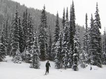 Exploring @ Duffy Lake Road